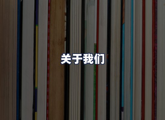 关于我们